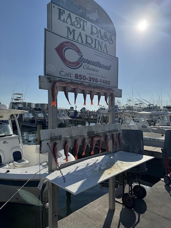 Cinnsational Saltwater Fishing Charters catch display at East Pass Marina in Destin, FL, showing a rack of red snapper with boats in the background.