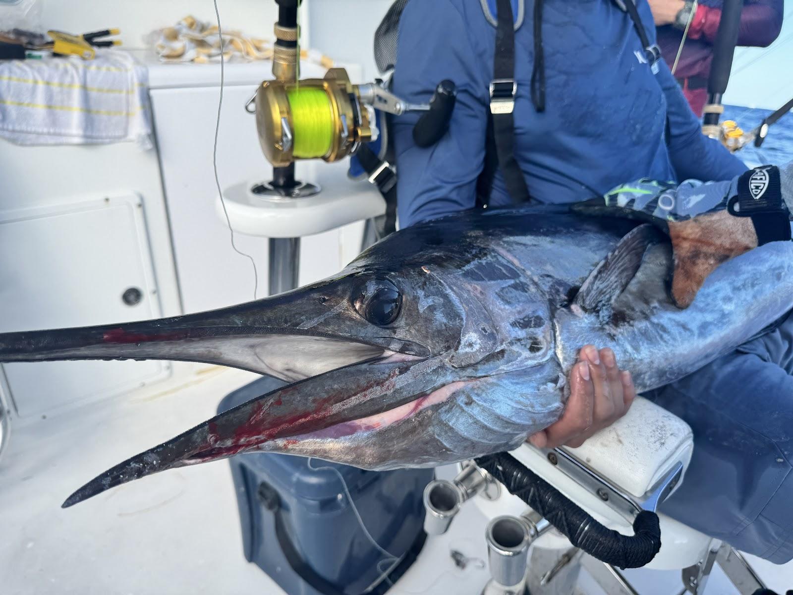 Impressive billfish catch displayed aboard Dream Catcher Charters boat with professional fishing equipment in Key West waters