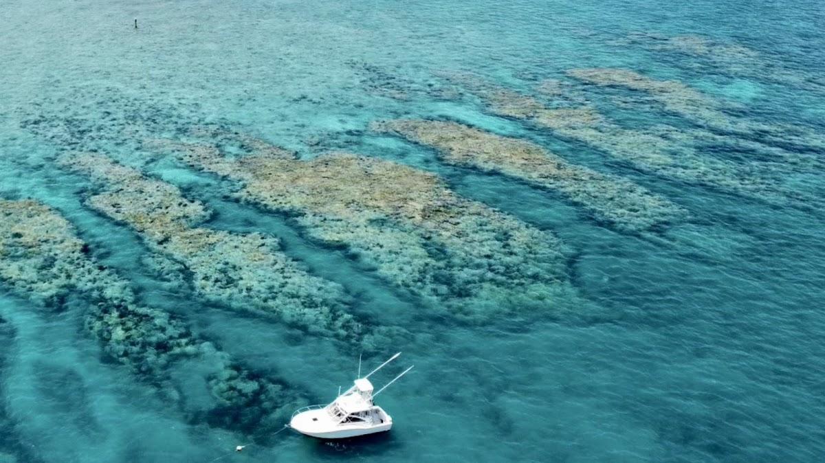 White fishing charter boat anchored over shallow reef in turquoise waters near Key West