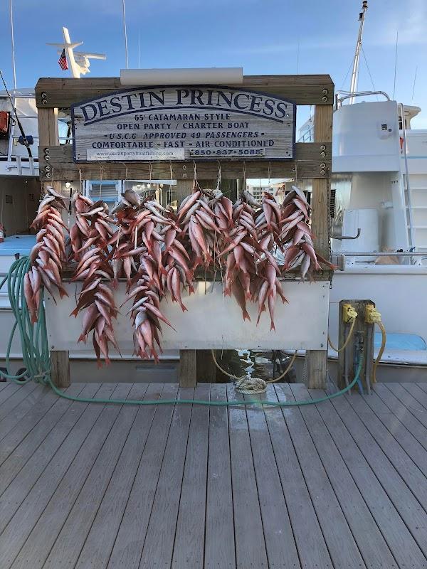 Destin Princess party boat display with fresh red snapper catch hanging on deck at Destin docks